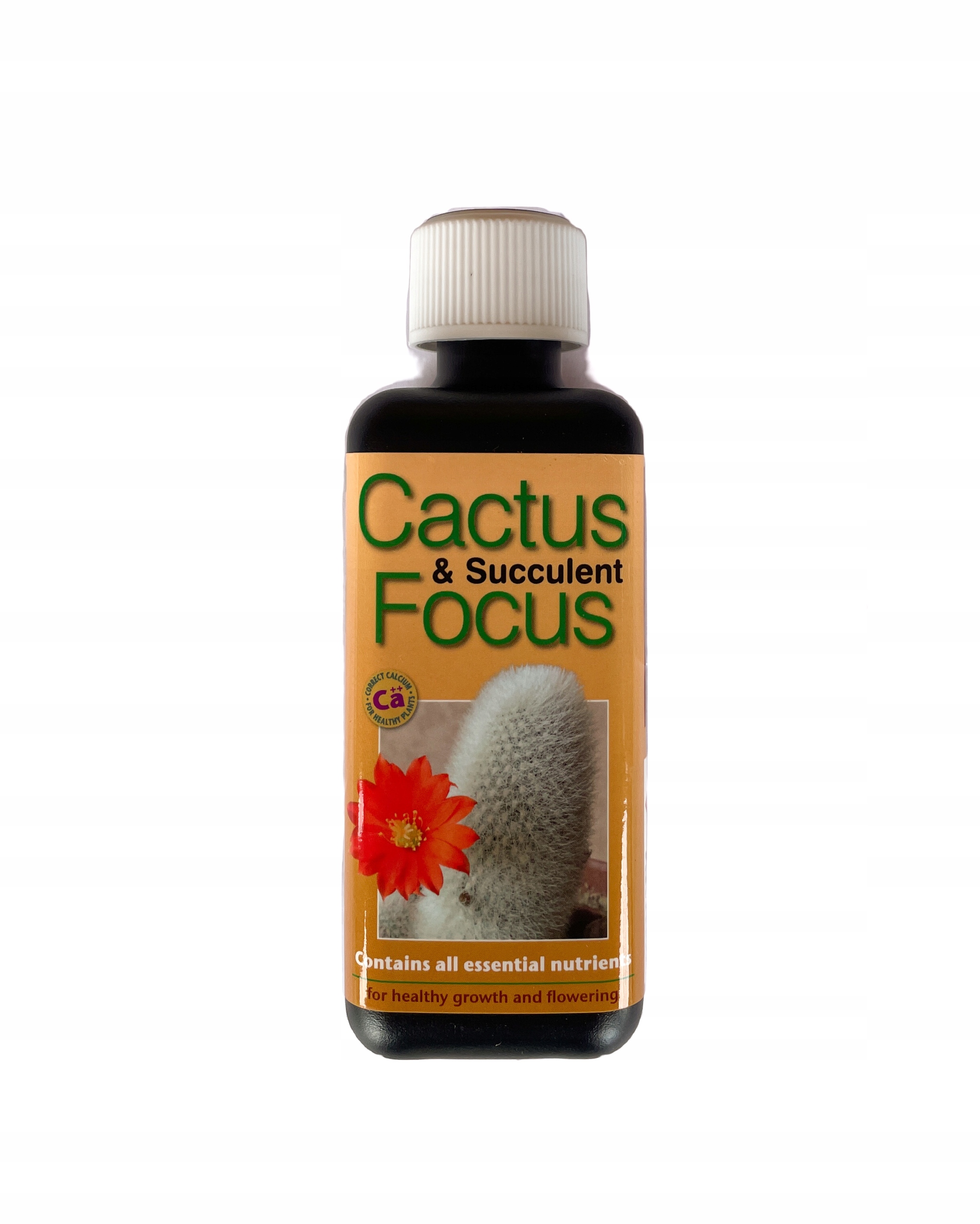 

Cactus Focus nawóz do kaktusów, sukulentów i juk