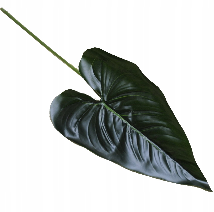 LIŚĆ KALLI ZIELONY SZTUCZNY WOSKOWANY 50cm