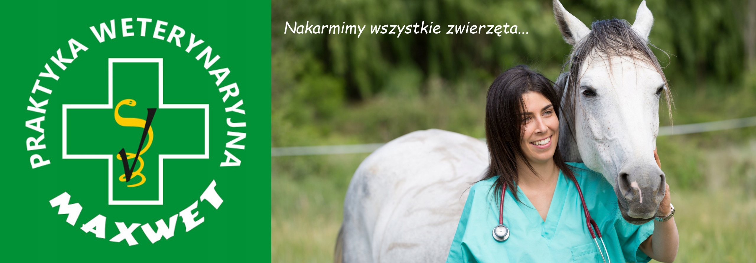 HorseLinePro VitaMax 2500g - witaminy i minerały dla koni Marka Horse Line