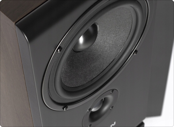 KOLUMNY PYLON AUDIO OPAL MONITOR ORZECH PARA Kolor orzech