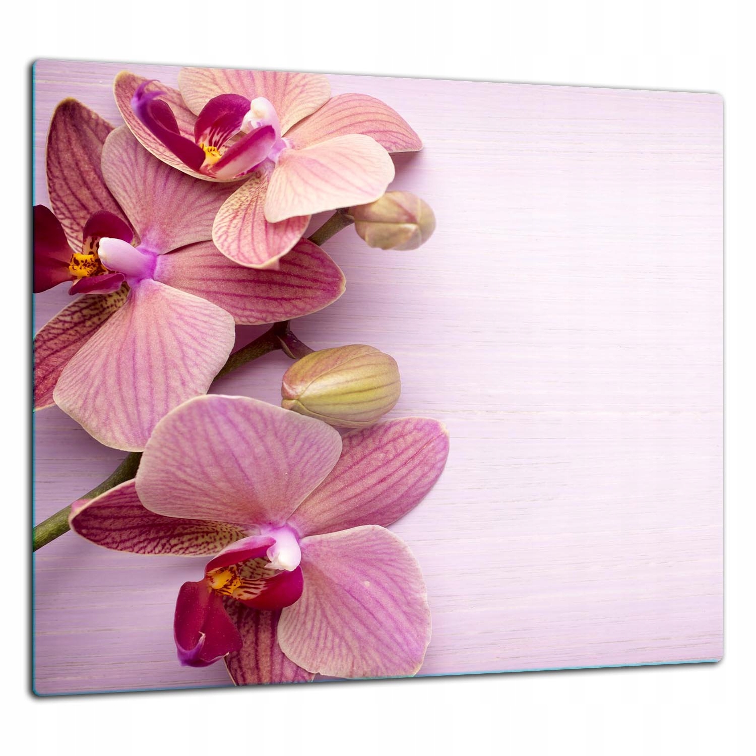 Skleněná Ochranná Deska Panel Lepidlo 65x60 Orchidej Tvrzené sklo 7v1