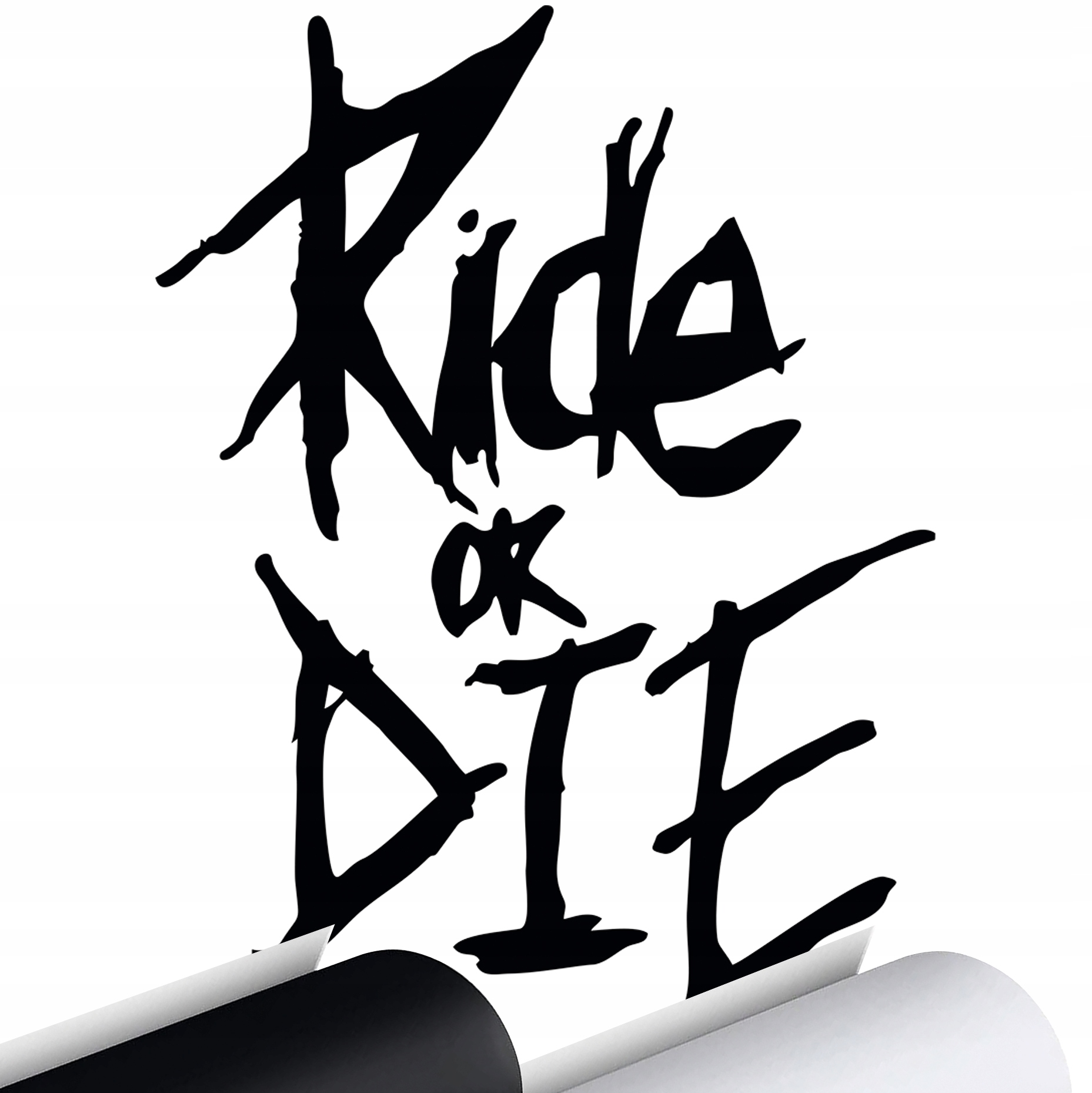 NAKLEJKA na samochód RIDE OR DIE 11x15cm MG2723STA za 9,90 zł z Biały