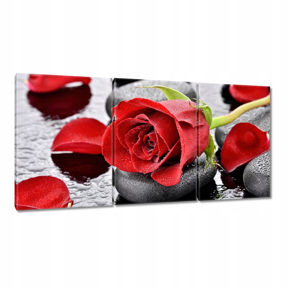 

Obrazy 120x60 Czerwone róże Kamienie