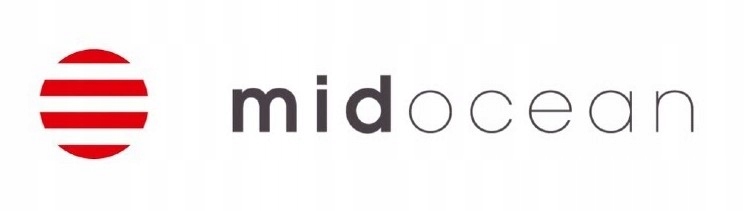 PIŁKA DO SIATKÓWKI SIATKÓWA PLAŻOWA TRENINGOWA 5 Model Volley