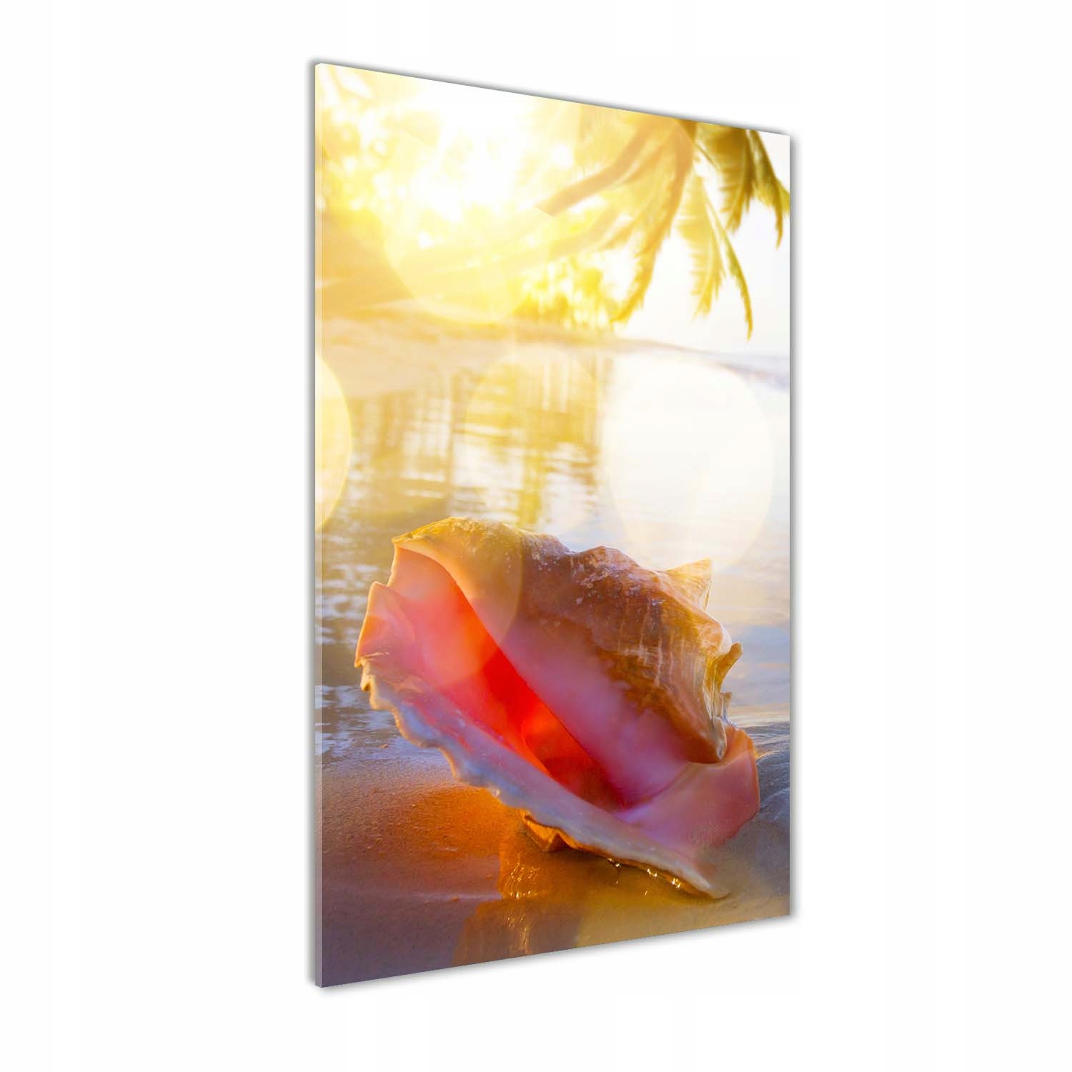 

Foto obraz szkło akrylowe Muszla na plaży 70x140cm