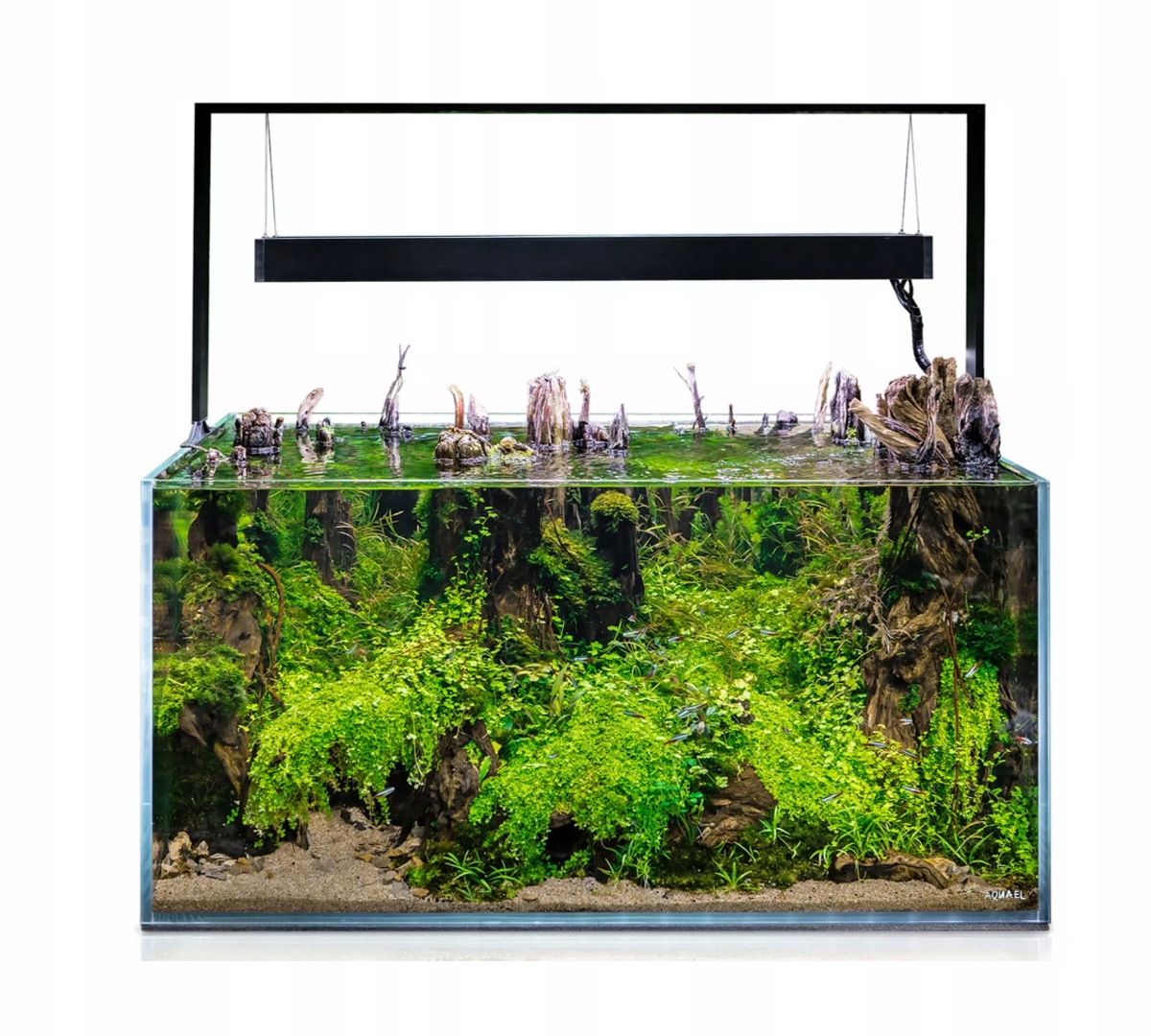 AQUAEL ULTRASCAPE 65L Akwarium Forest Set Forest