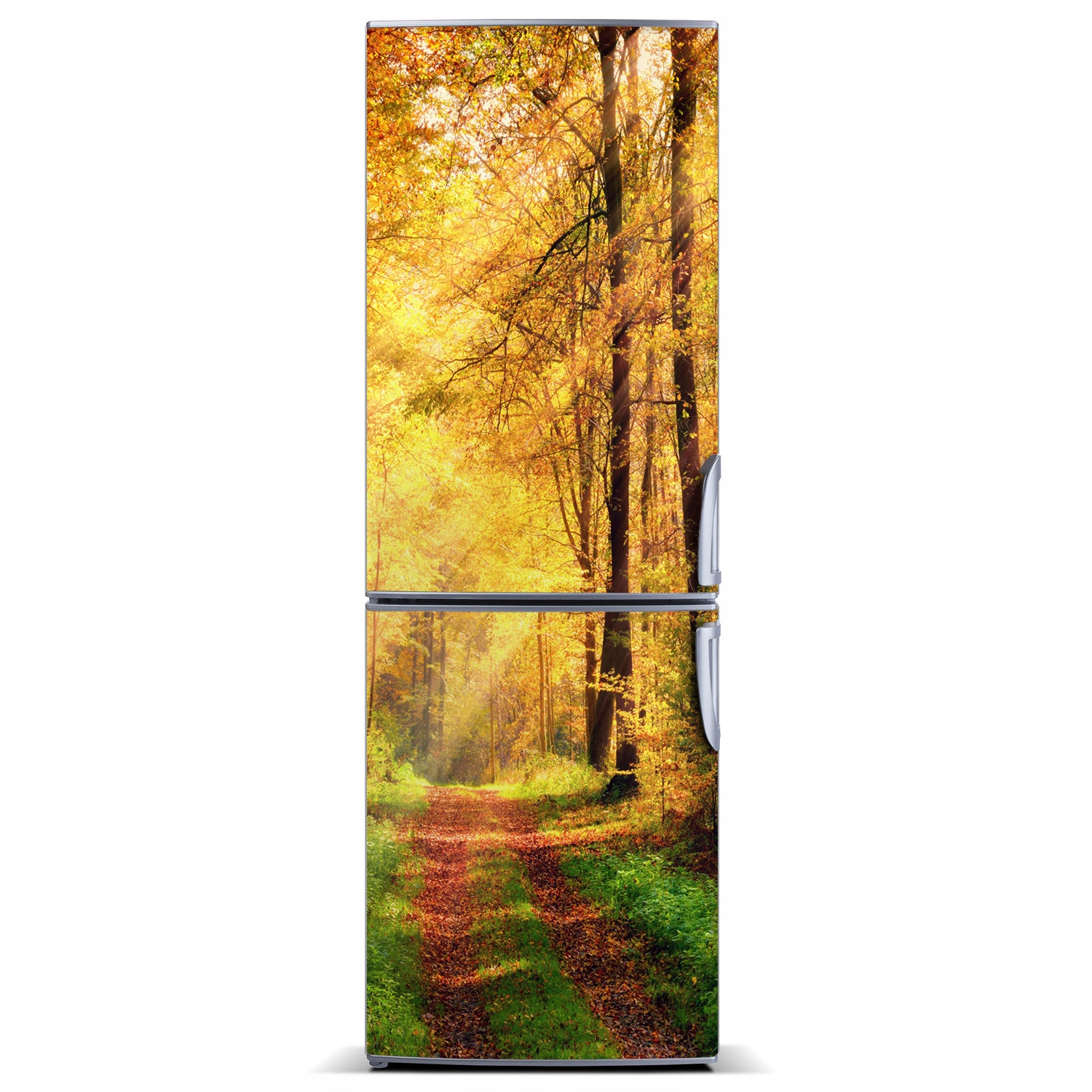 

Naklejka fototapeta na lodówkę Las jesienią 60x180