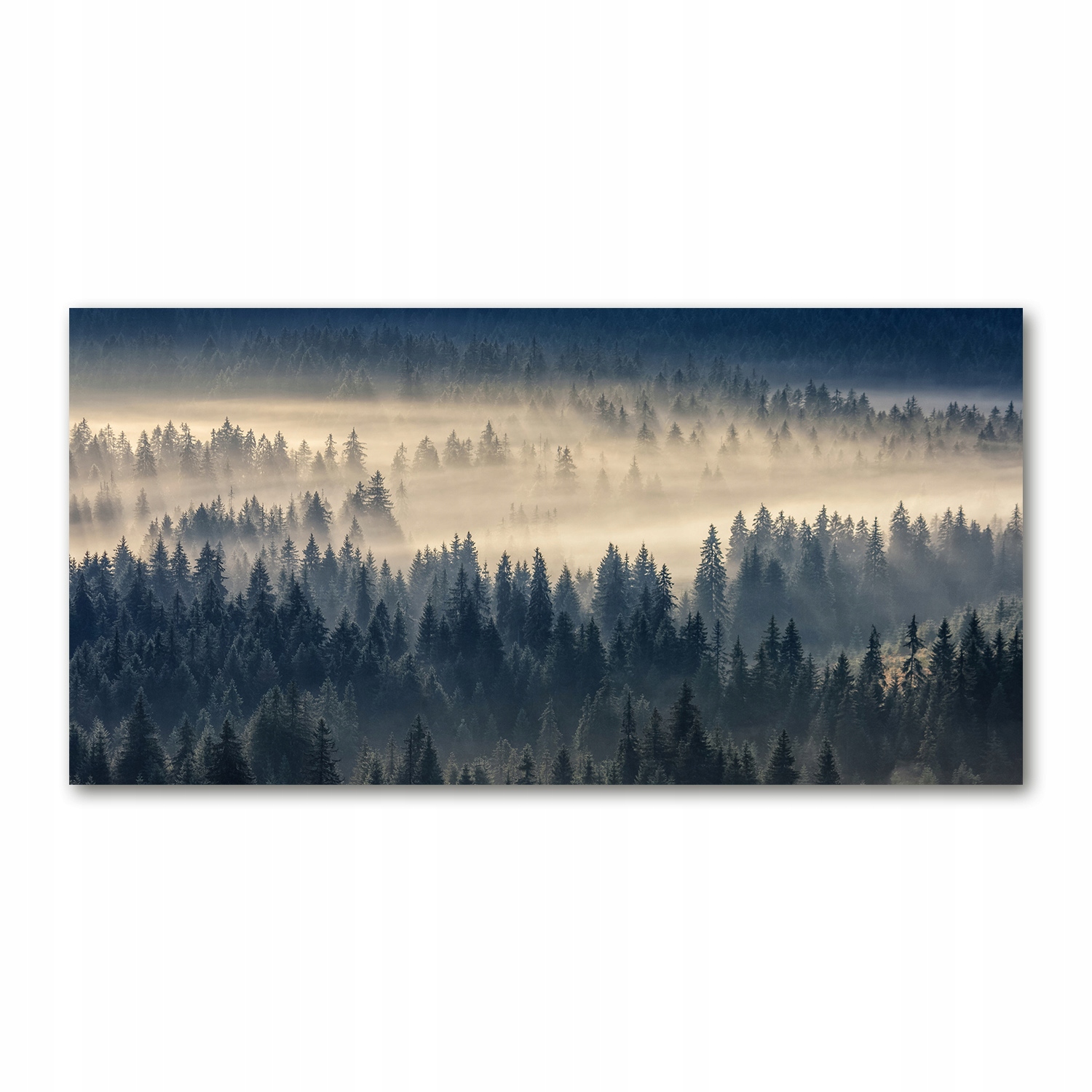 

Foto-obraz akryl Mgła nad lasem zdjęcie 140x70 cm