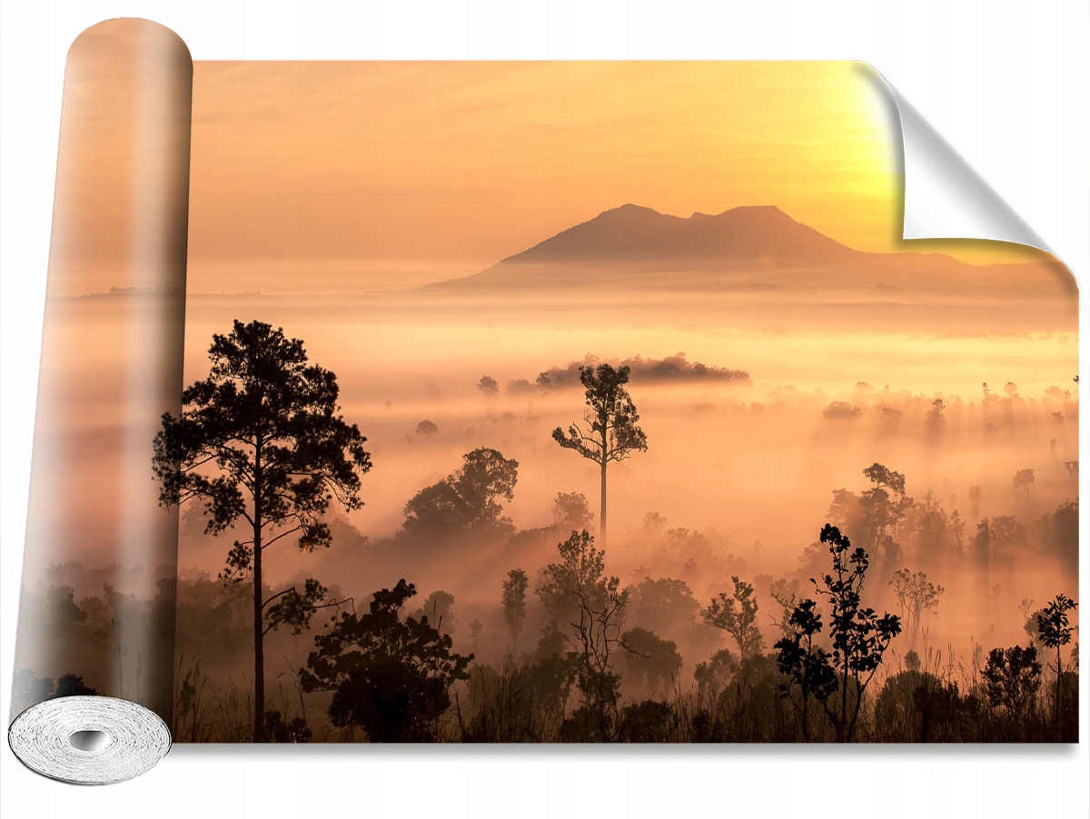 

Fototapeta Samoprzylepna Sawanna 152x104