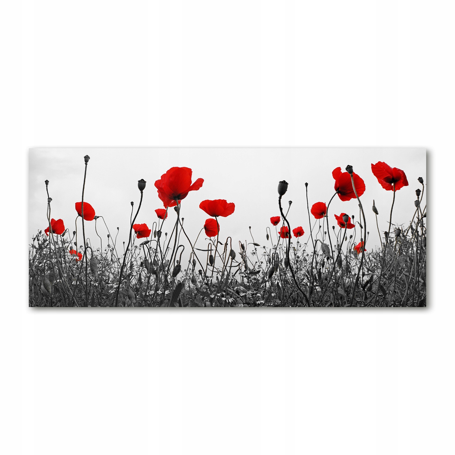 

Foto-obraz akrylowy na ścianę dużyMaki 125x50 cm