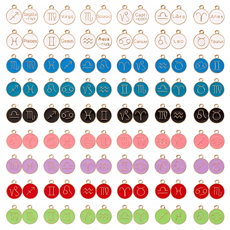 sada přívěsků znamení zvěrokruhu 14/12mm