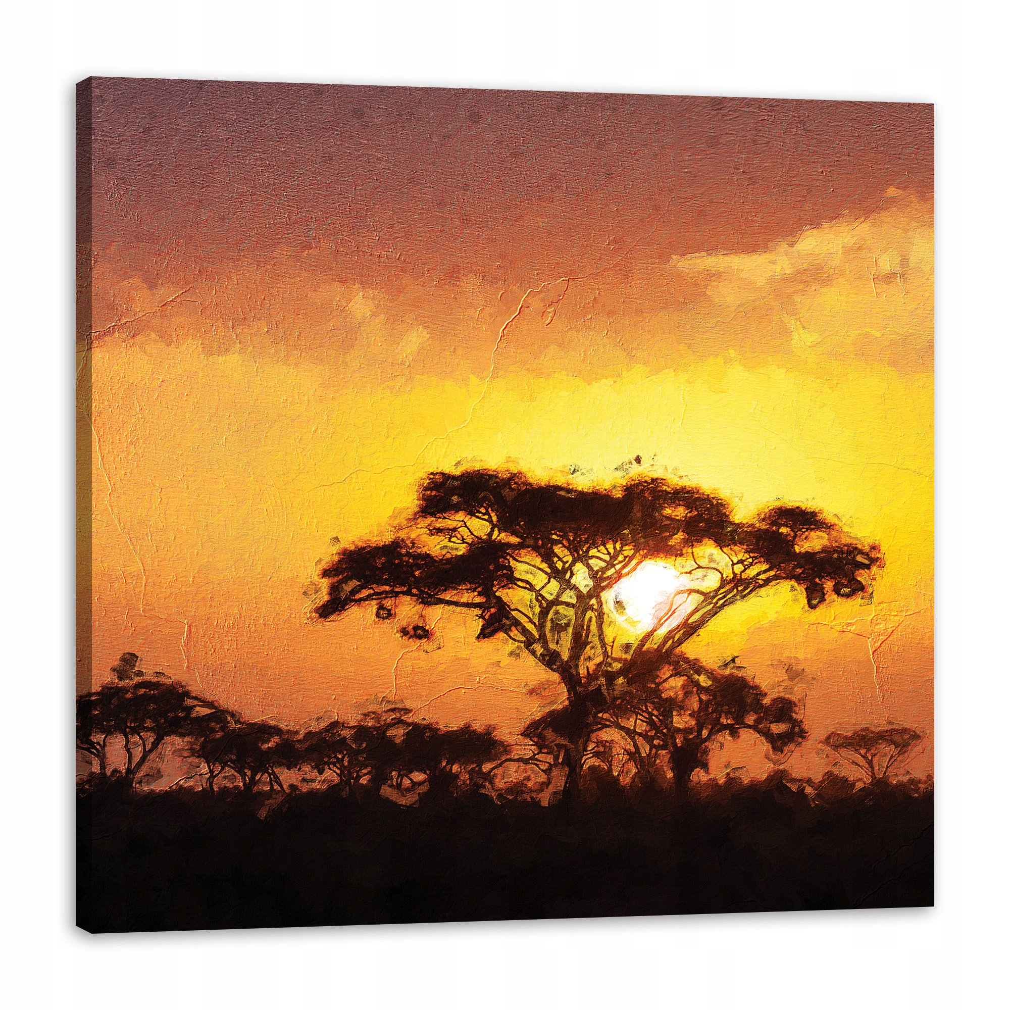 Obraz na plátně Savana Strom Západ Slunce 80x80 cm Ideální jako dárek
