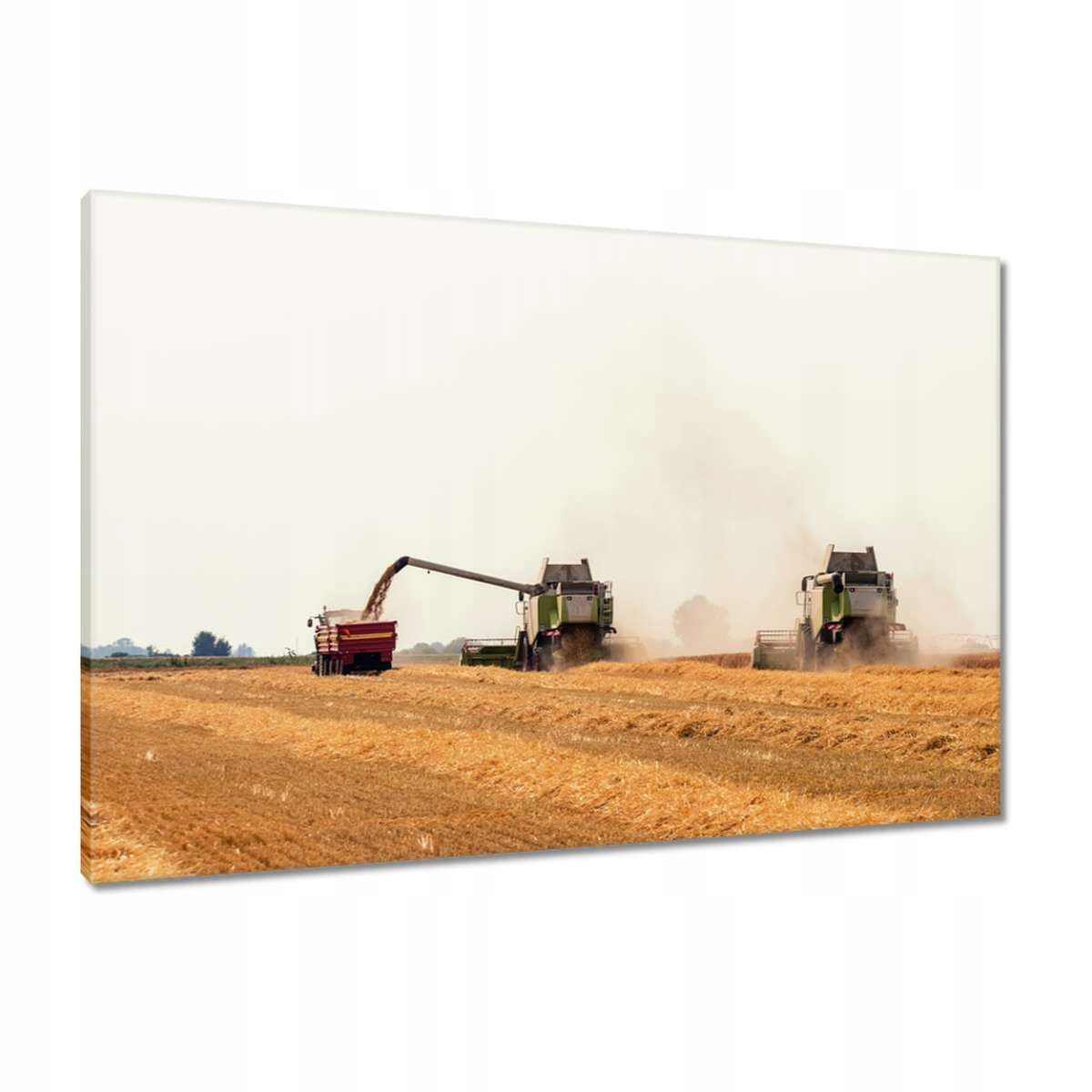 Obrazy 90x60 Kombajn pro sklizeň obilí