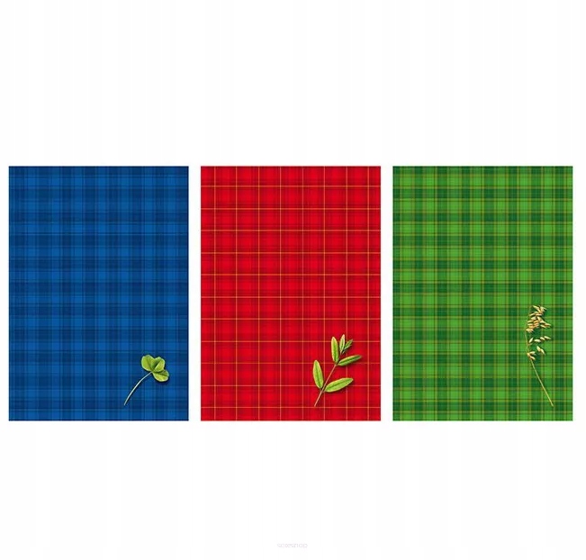 Brulion A5 500k. Kratka Kreska Kod producenta ZE18KRS