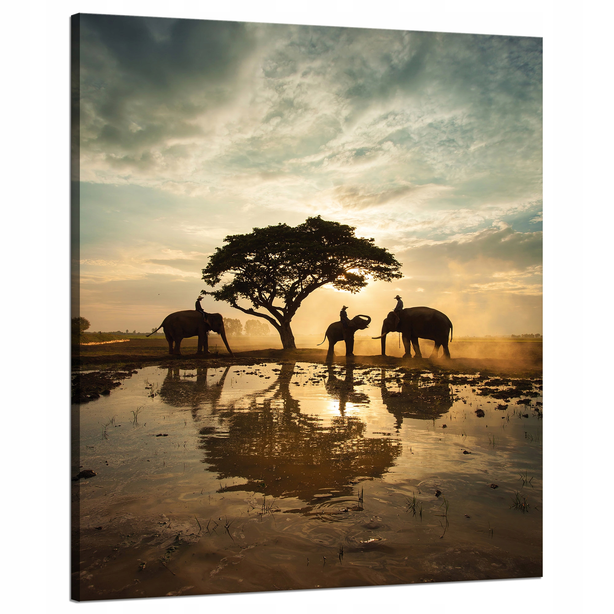 Obraz na plátně Lidé na slonech při západu slunce 80x100 cm