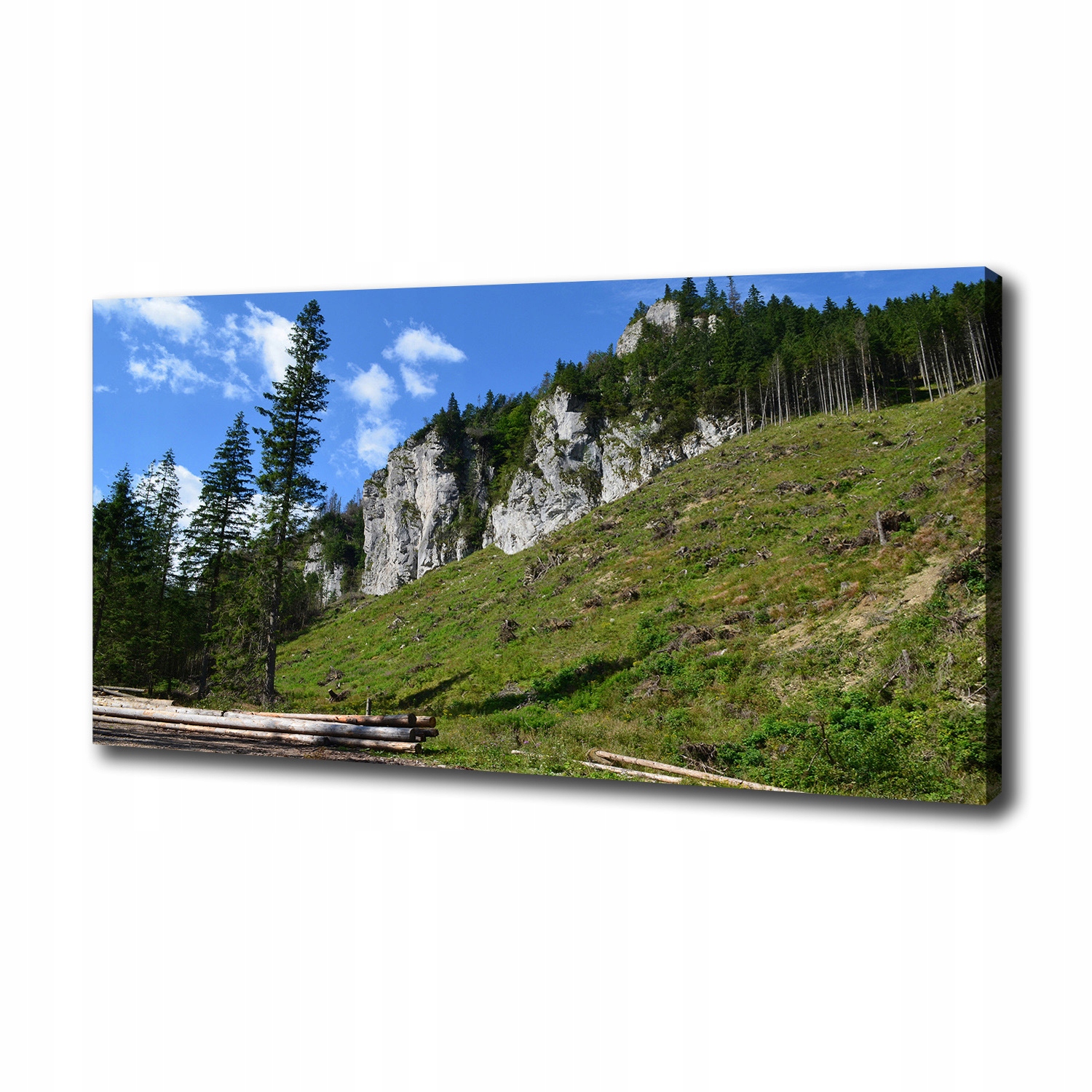 

Foto obraz na płótnie Skaliste szczyty 100x50 cm