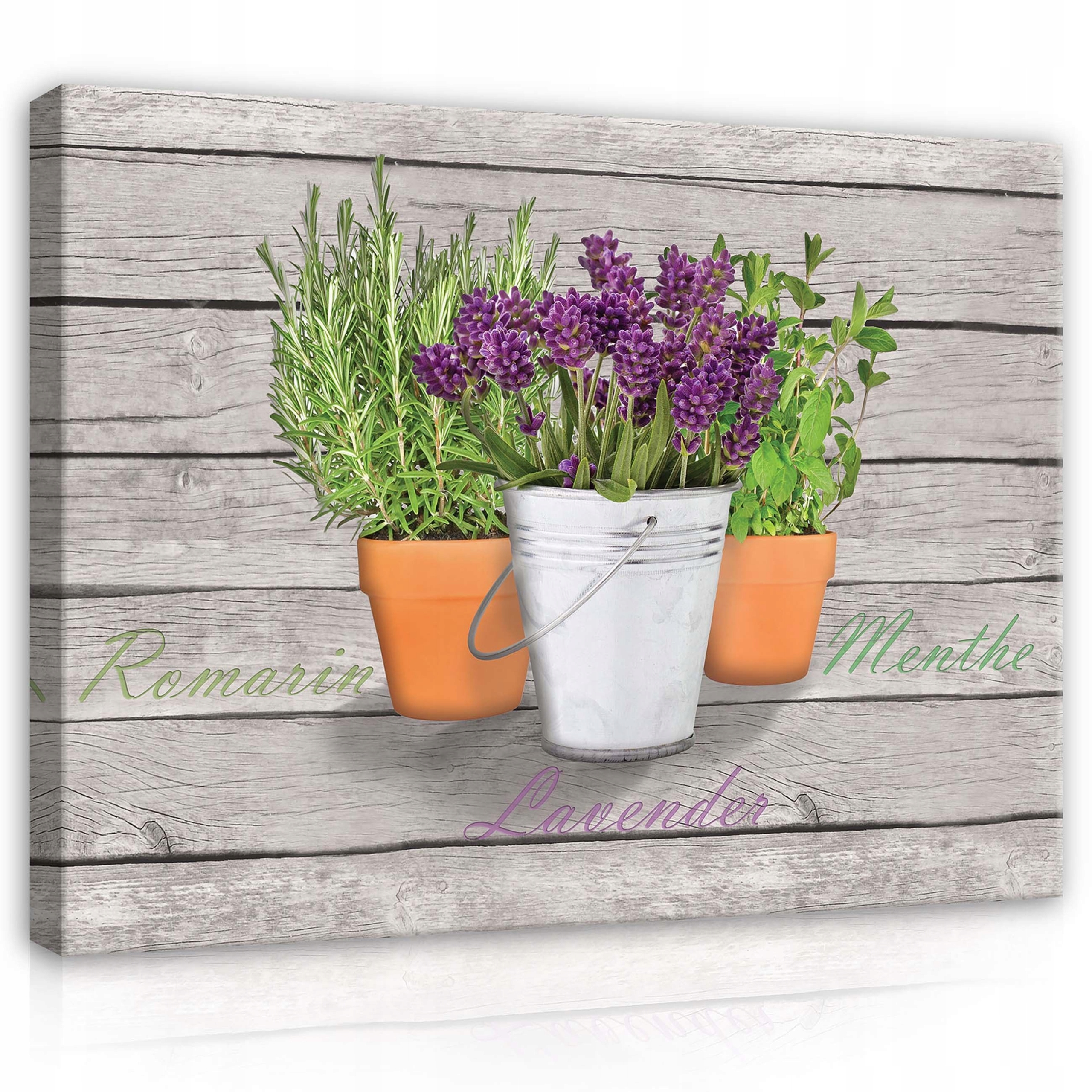 Obraz 100x75 Bylinky v květináčích levandule rozmarýn máta dřevěné pozadí mrtvé