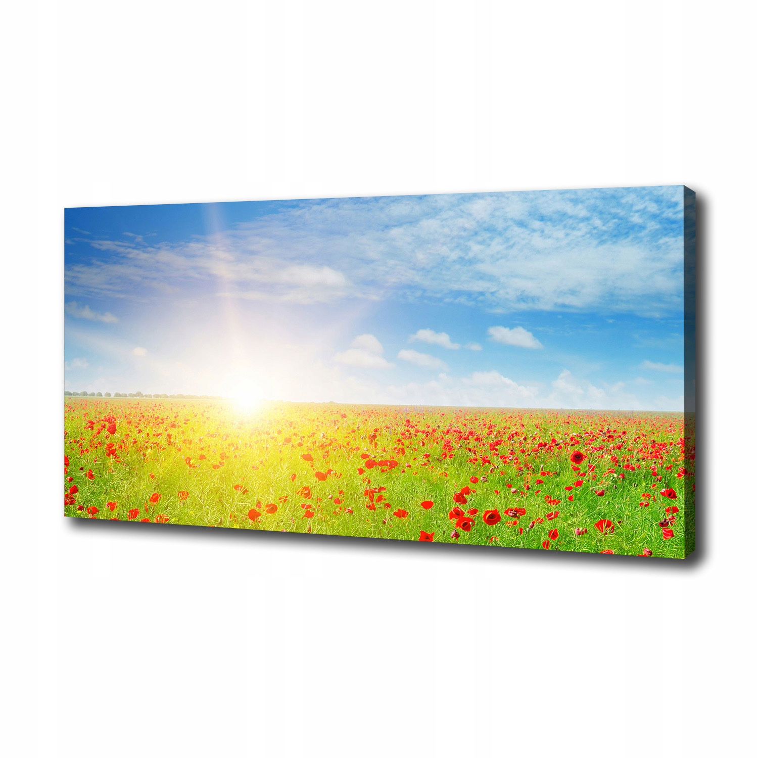 

Foto obraz canvas na ścianę Pole maków 100x50 cm