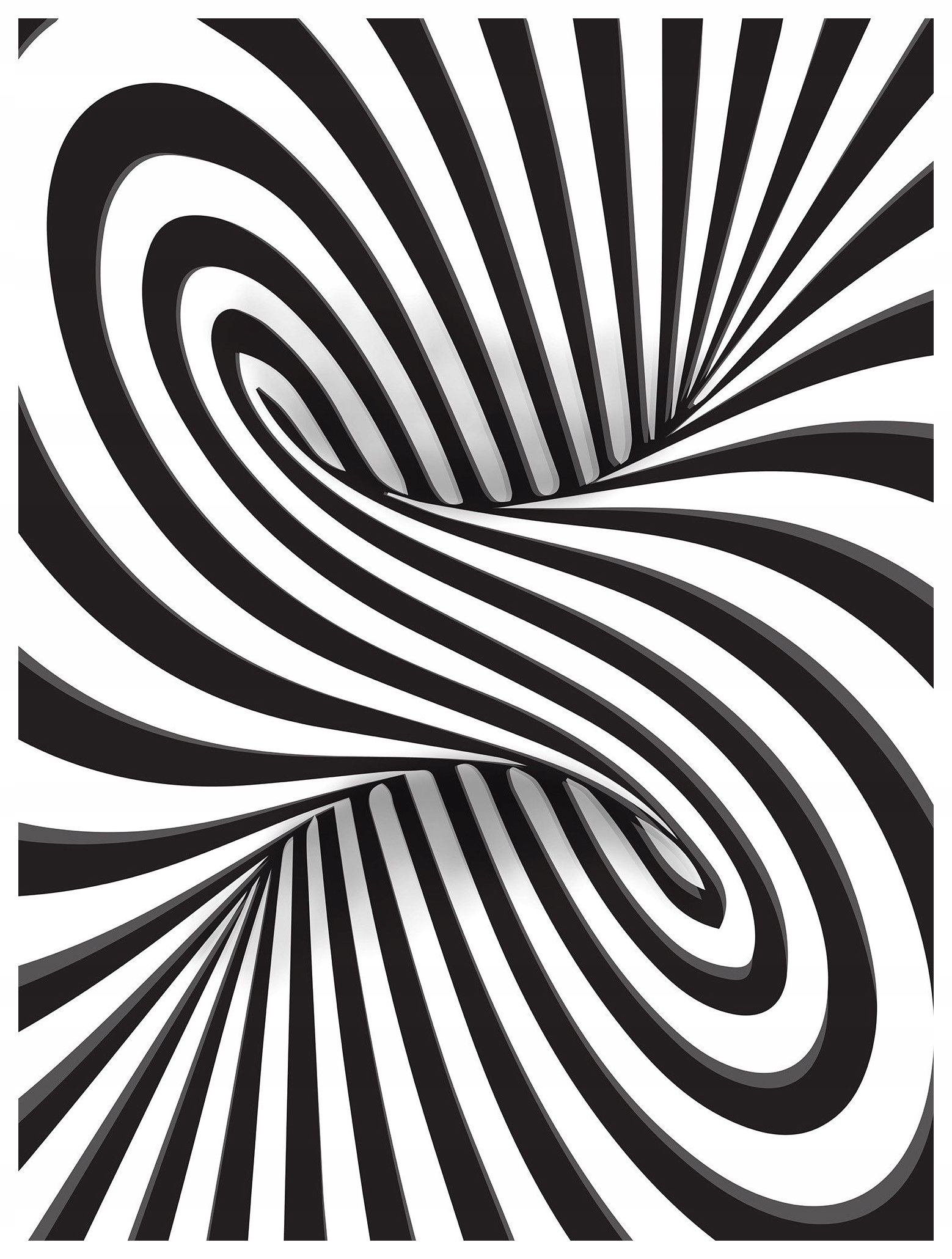 Fototapeta Spirální iluze abstrakce černobílá vinylová 184x254 lepidlo