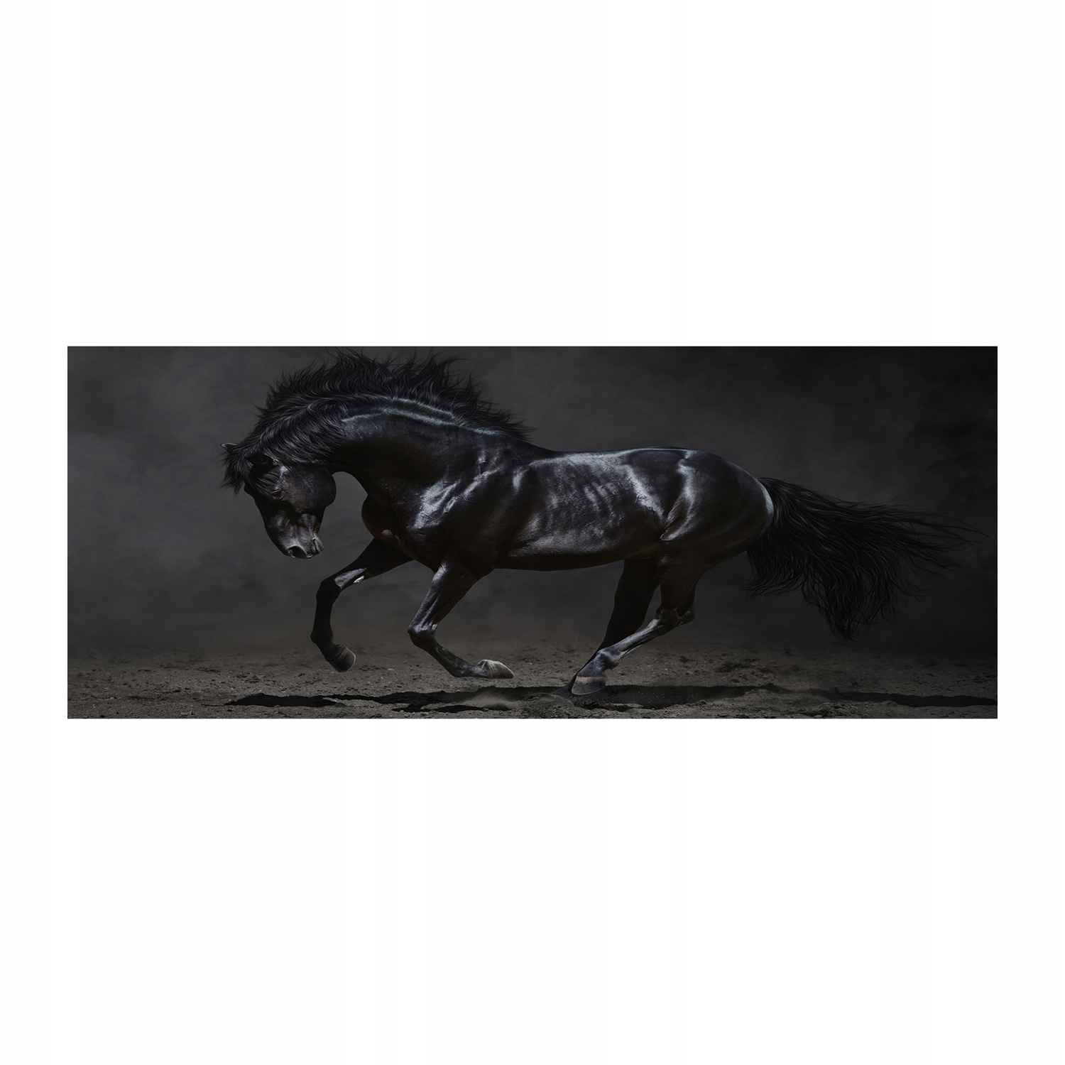 

Foto obraz na szkle akrylowym Czarny koń 125x50 cm