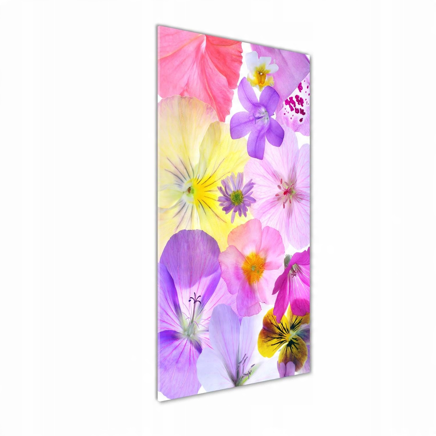 

Foto obraz szkło akrylowe Kolorowe kwiaty 50x125cm