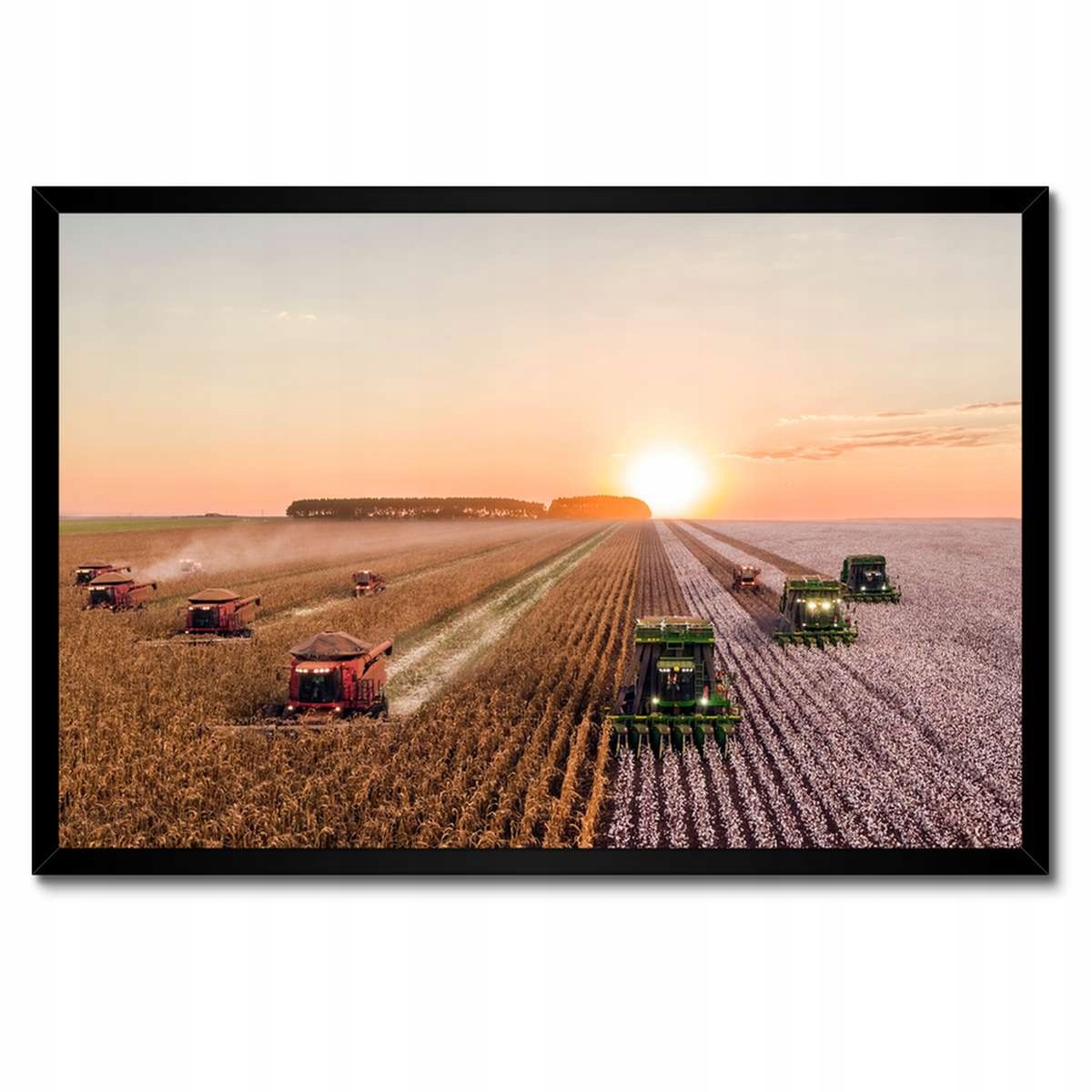 Plakáty v rámu 60x40 Žně Zemědělství Kombajny
