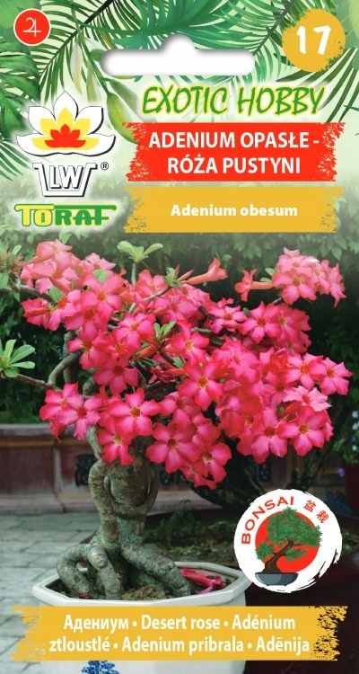 EXOTIC Adenium opásané - Púštna ruža semená 5 ks BONSAI