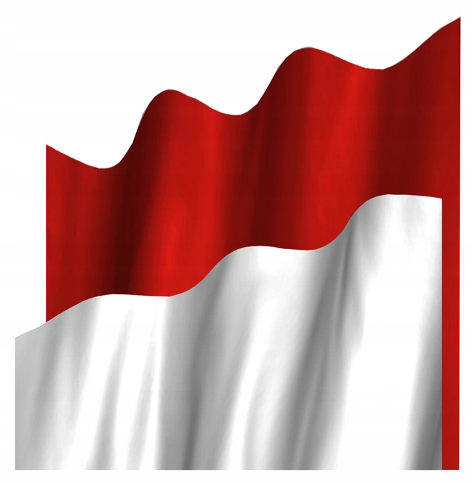 Biała chorągiewka flaga sygnalizacyjna kąpielisko