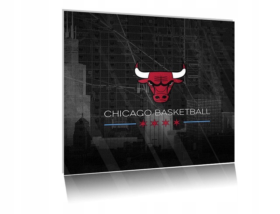 

Obraz szklany na szkle Chicago Bulls 02 30x30