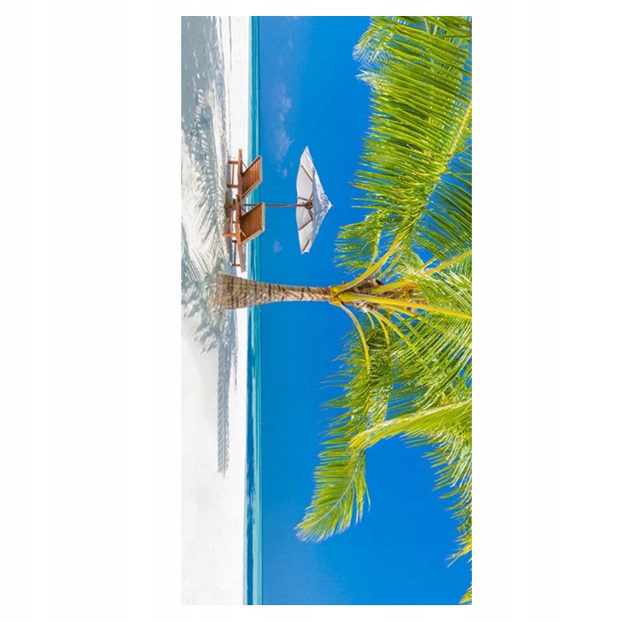 

Ręcznik plażowy 100x180 w cieniu palmy