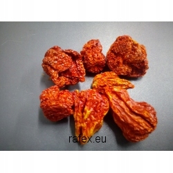 Levně paprika Trinidad Scorpion 1 kg Rafex