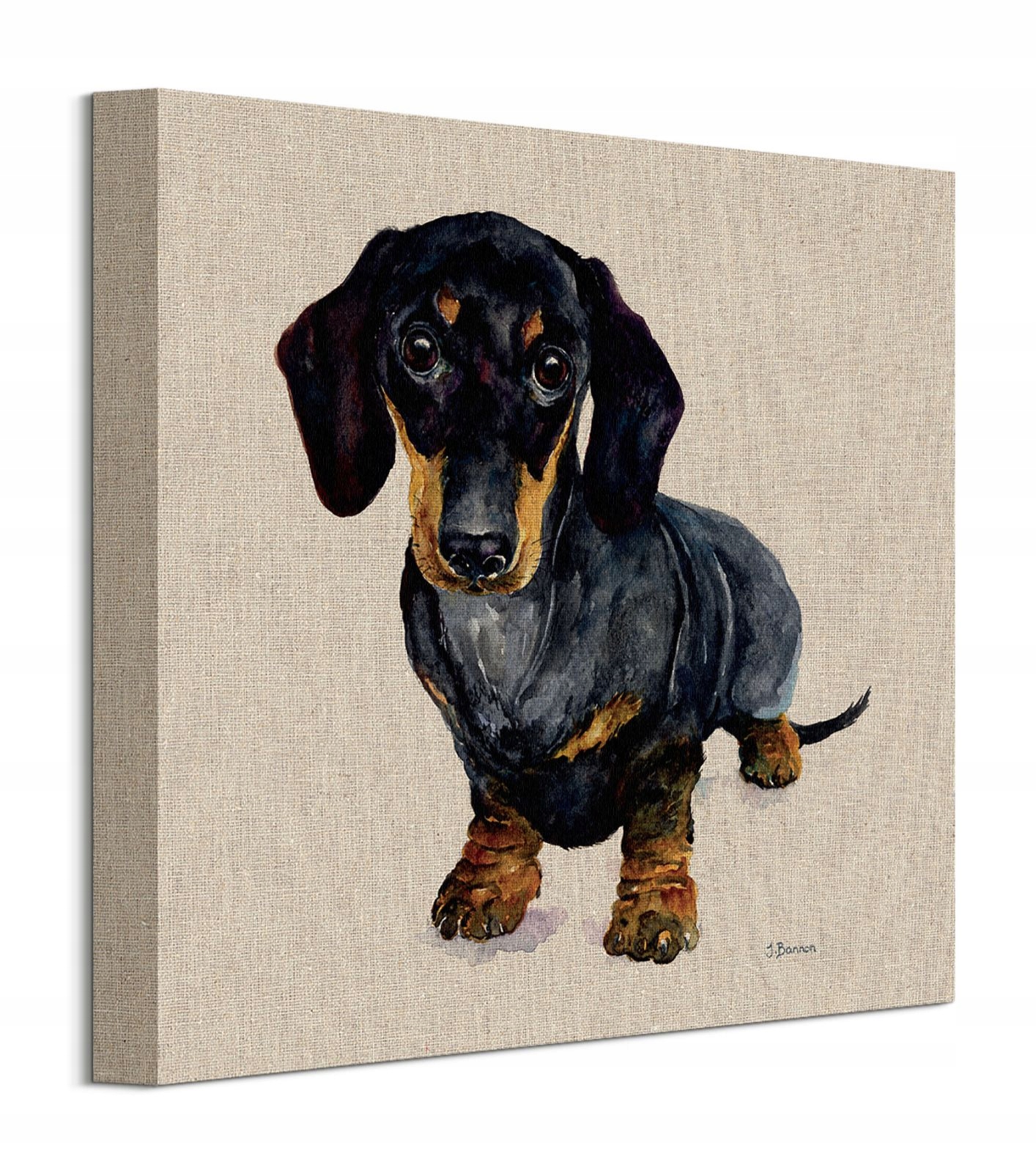 

Jane Bannon Czarny jamnik obraz na ścianę 30x30 cm