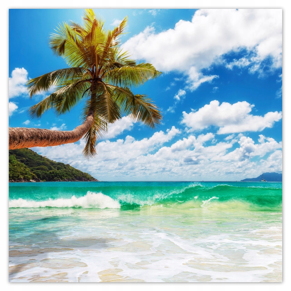 

Fototapety flizelina 312x312 Tropiki Palmy Plaża