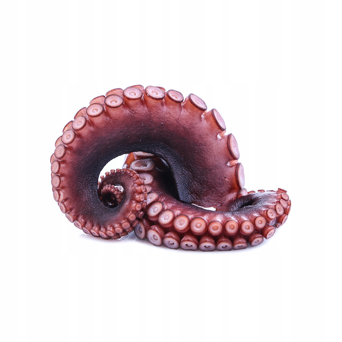 Chobotnice chapadla vařená, mražená glazura 20% 4x250 gr