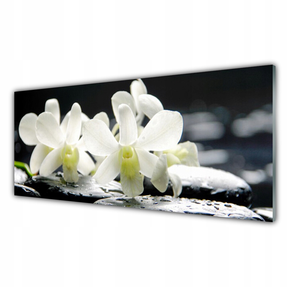 

Fotoobraz ścienny 125x50 Kamienie Kwiaty Orchidea