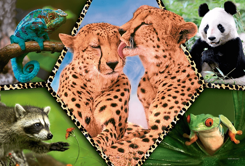 

Trefl Puzzle 100-el dla Dziecka Zwierzęta Solidne!