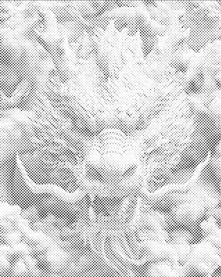 Tečkování Dotting Painting Drak Čínský Portrét Tvář Velký 80 x 100 cm