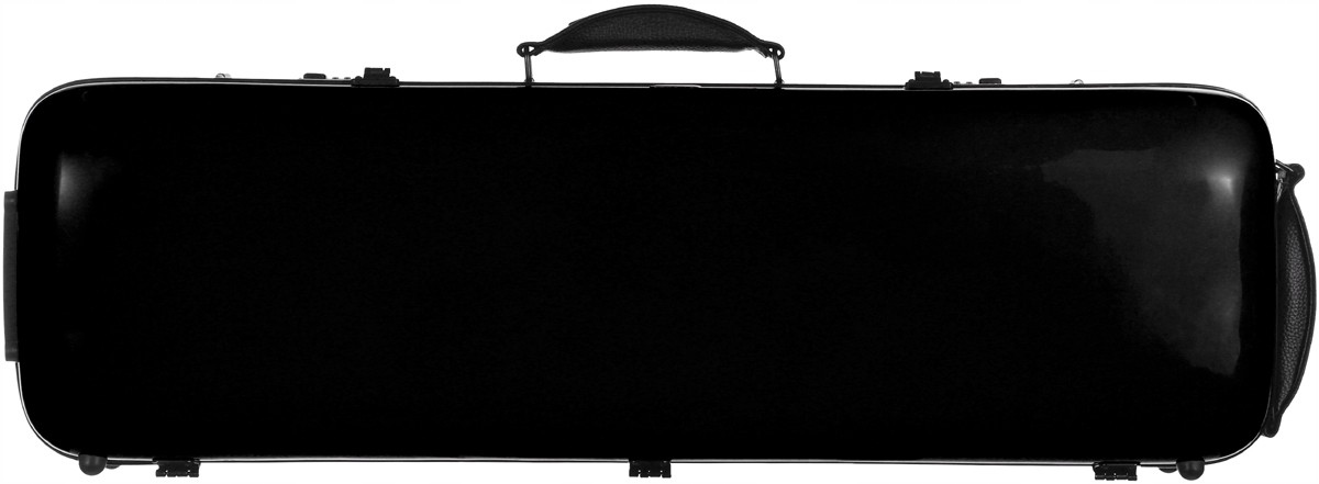 Houslové pouzdro Safe Oblong M-case Ča