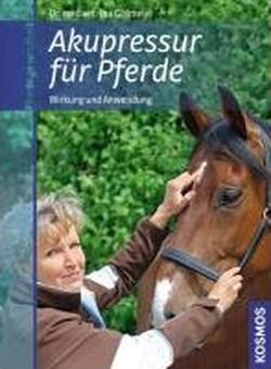 Akupressur für Pferde Wirkung und Anwendung