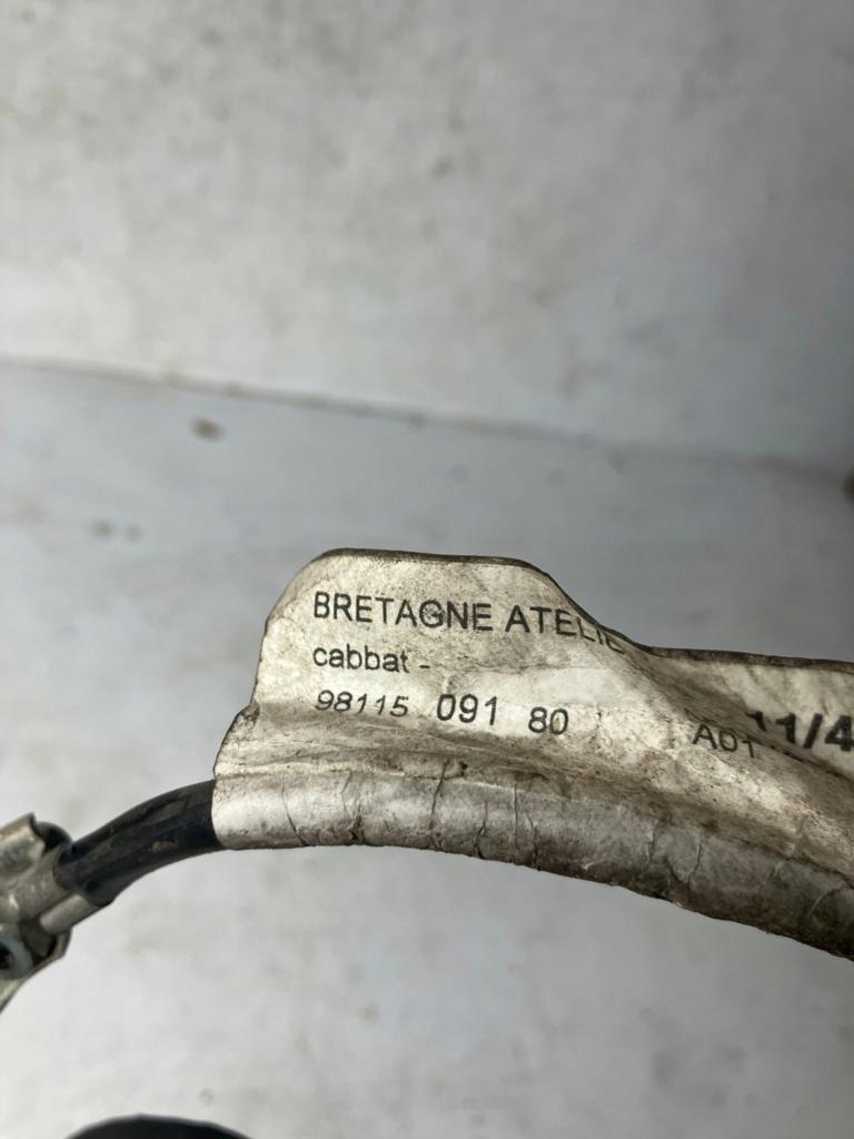Batteriemanagement Sensor PEUGEOT 208 C3 II 9811509180