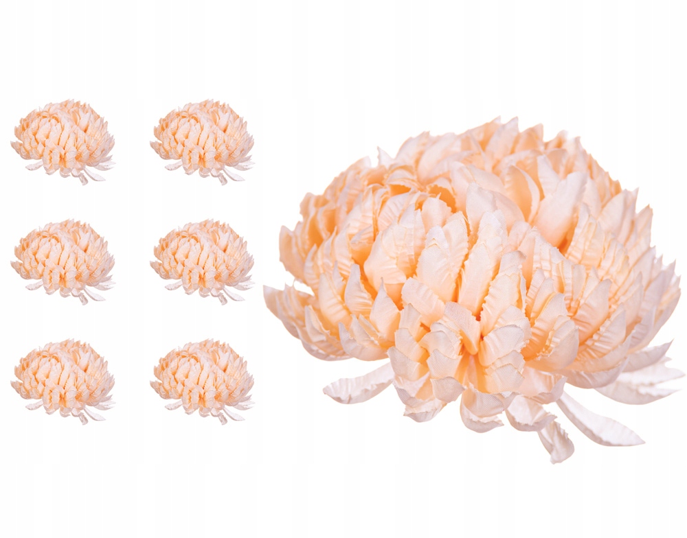 

Chryzantema ananas brzoskwiniowa 6 sztuk wyrobowa