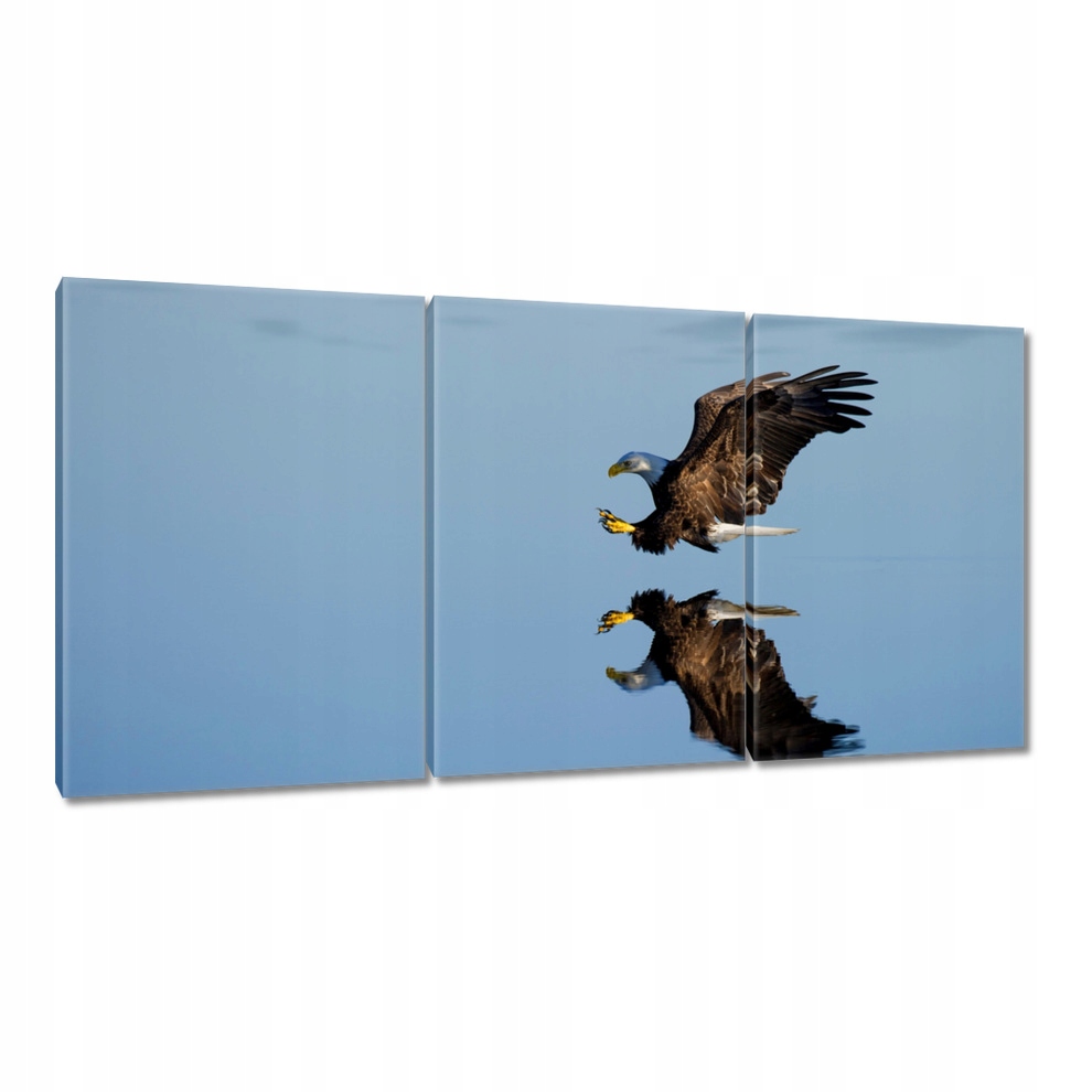 

Obraz 120x60 Ptaki Ptaszki