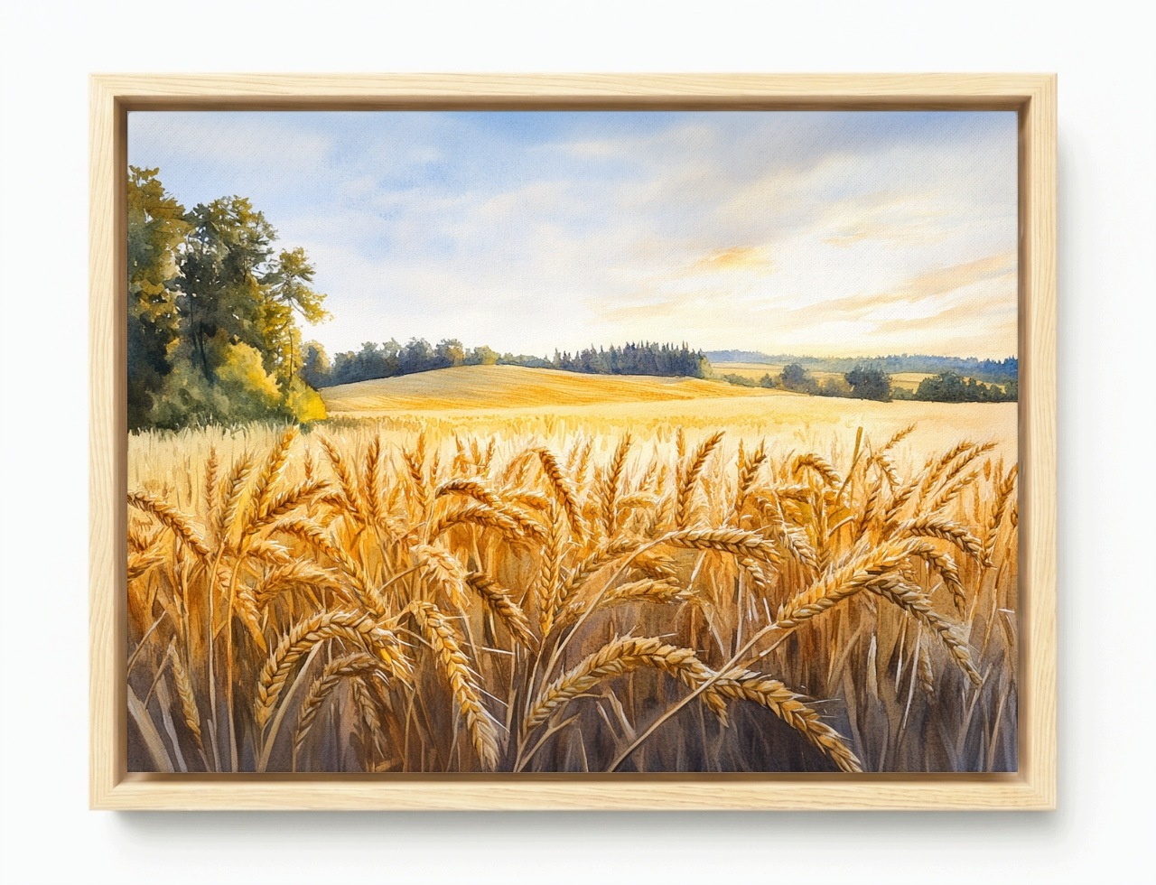 Obraz Rám Americký Box Pohled Krajina Vesnice Pole Obilí Klasy 80x60