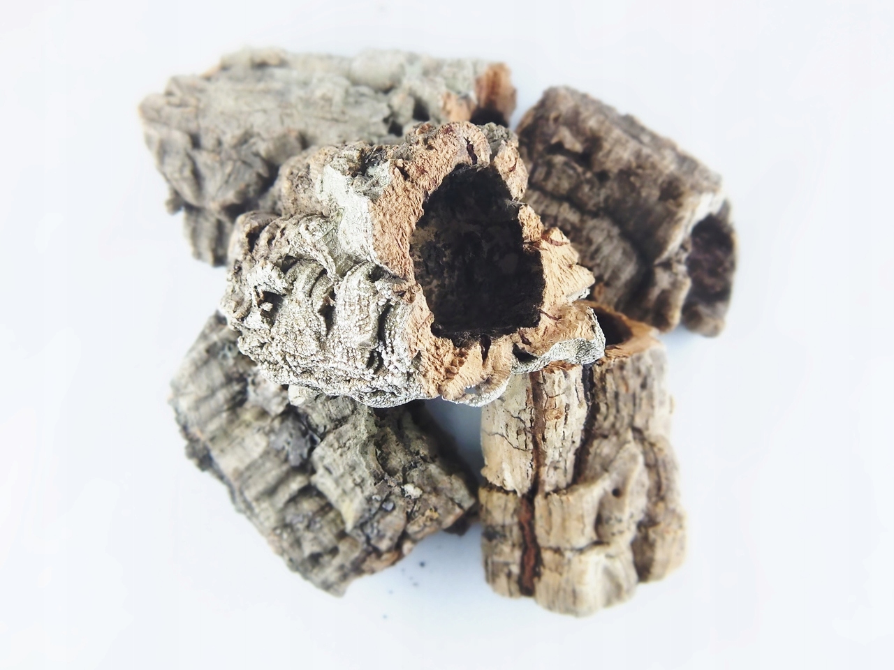 

Tuby Korkowe Paczka 1KG Spiders Forge