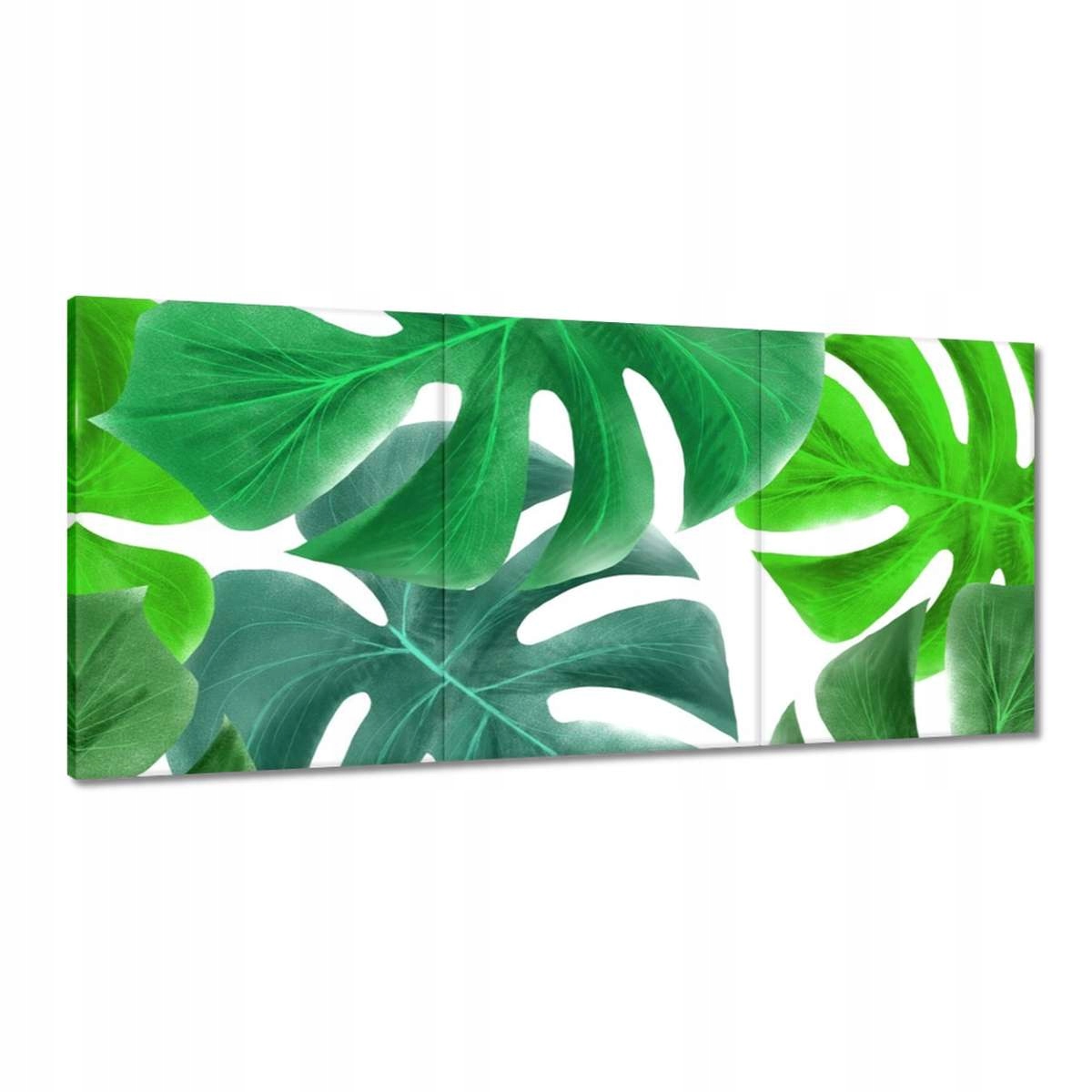 Obrazy 210x100 Listy Monstery Tropické