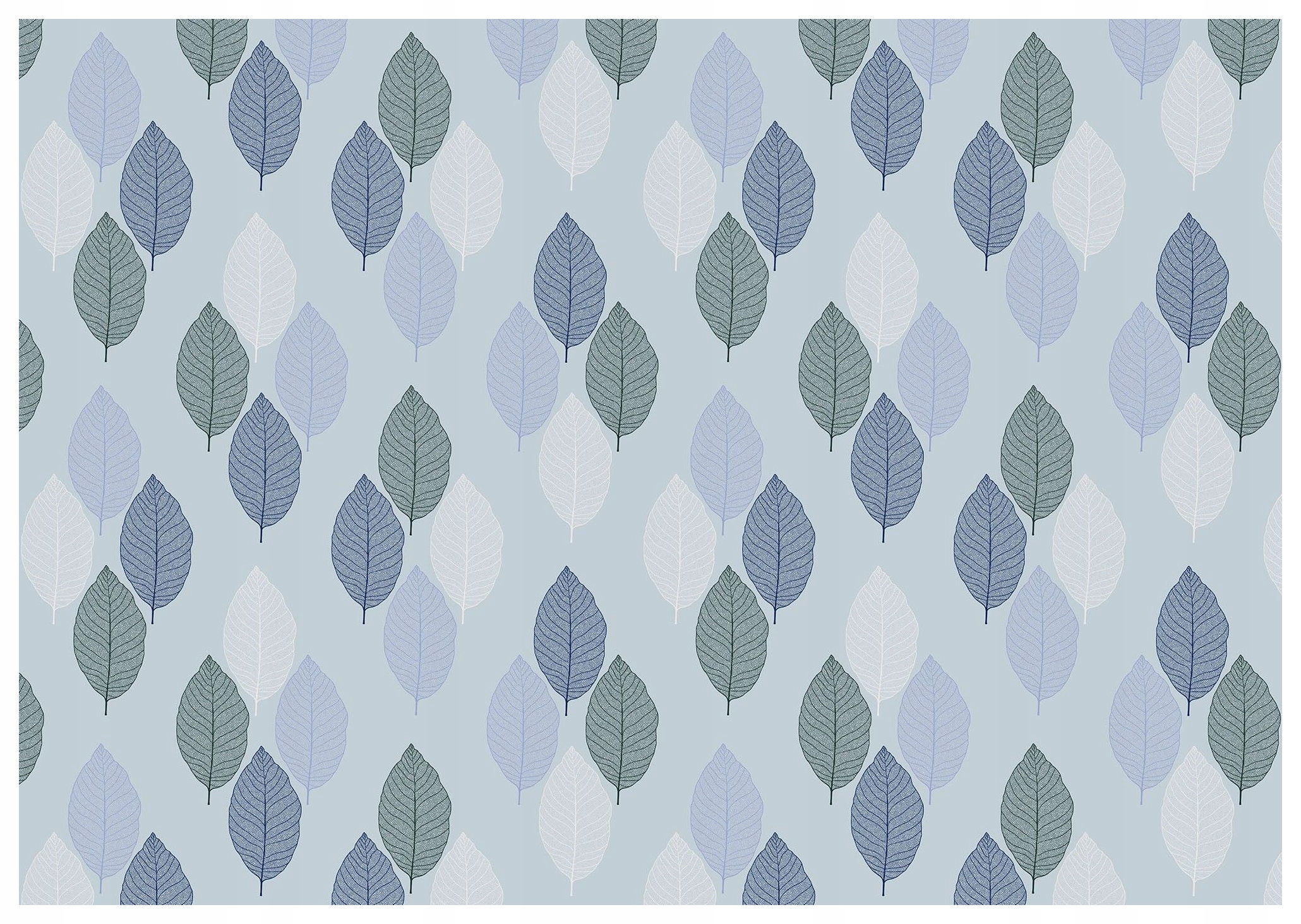 Fototapeta Listy Abstrakce Pastelové Šedo-modré Vinyl 254x184 lepidlo