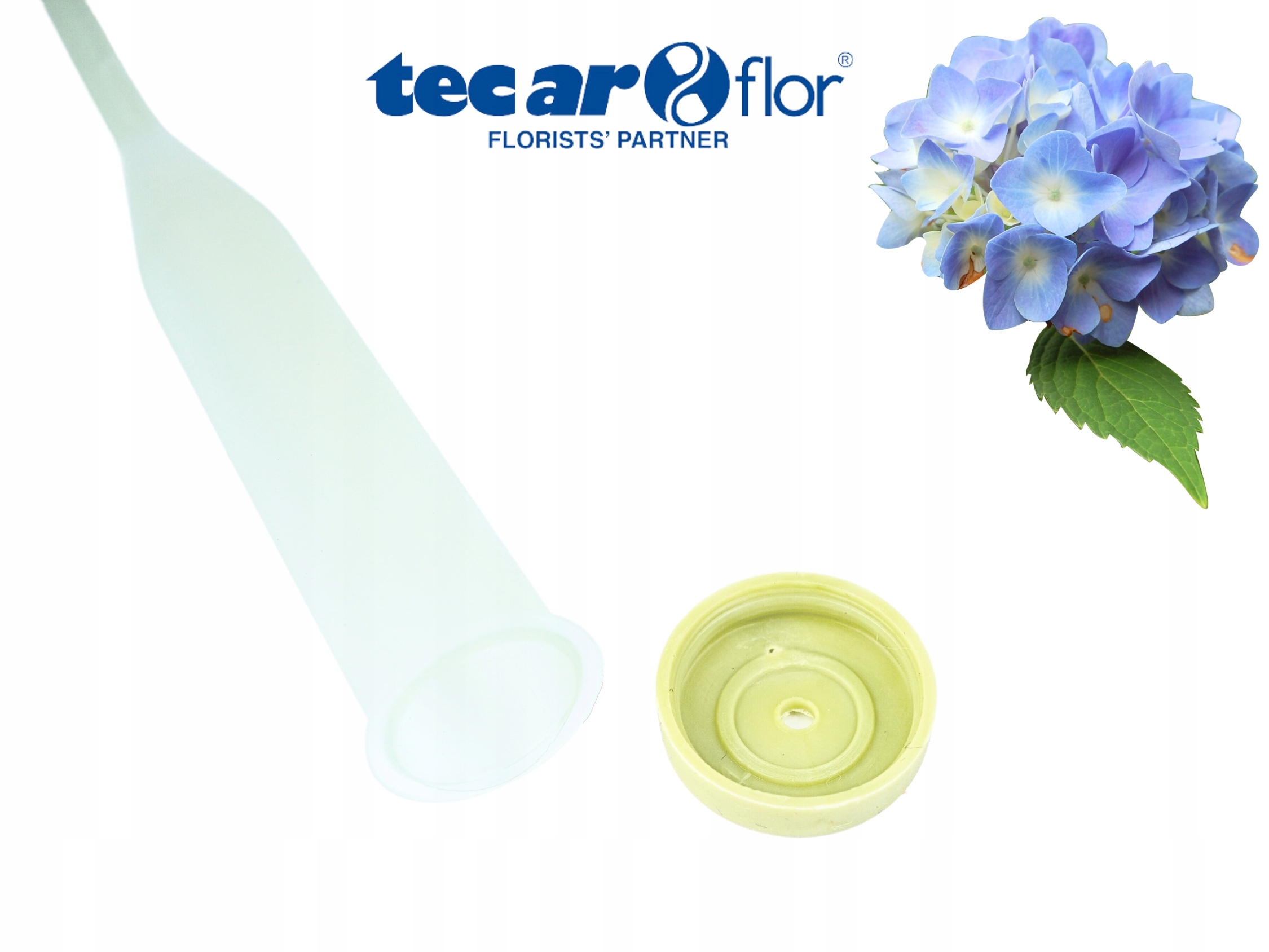 5x FIOLKA Z GUMKĄ DO ŻYWYCH KWIATÓW ROŚLIN 18 cm Marka Topoblu