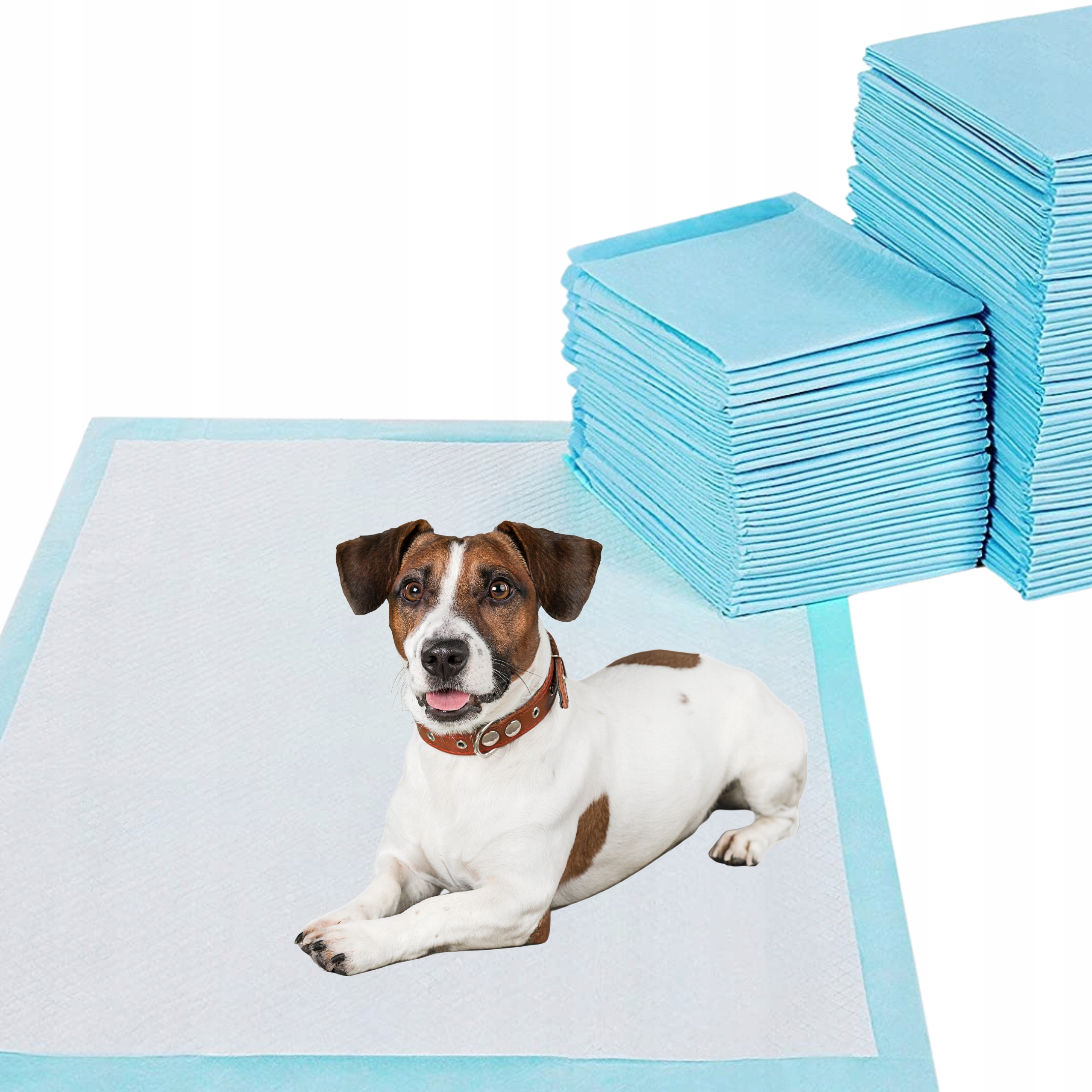 Levně Absorpční Podložky Pro Psy Na Jedno Použití Podložky 60x90 100 ks