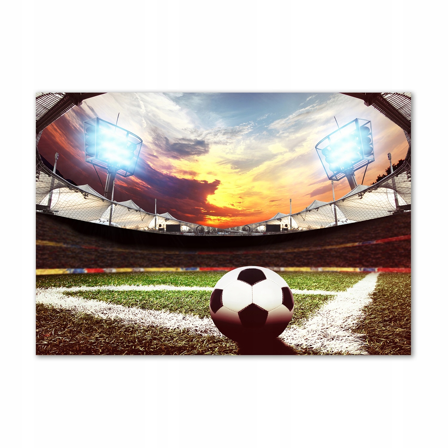 

Foto obraz szklany Piłka na stadionie 100x70