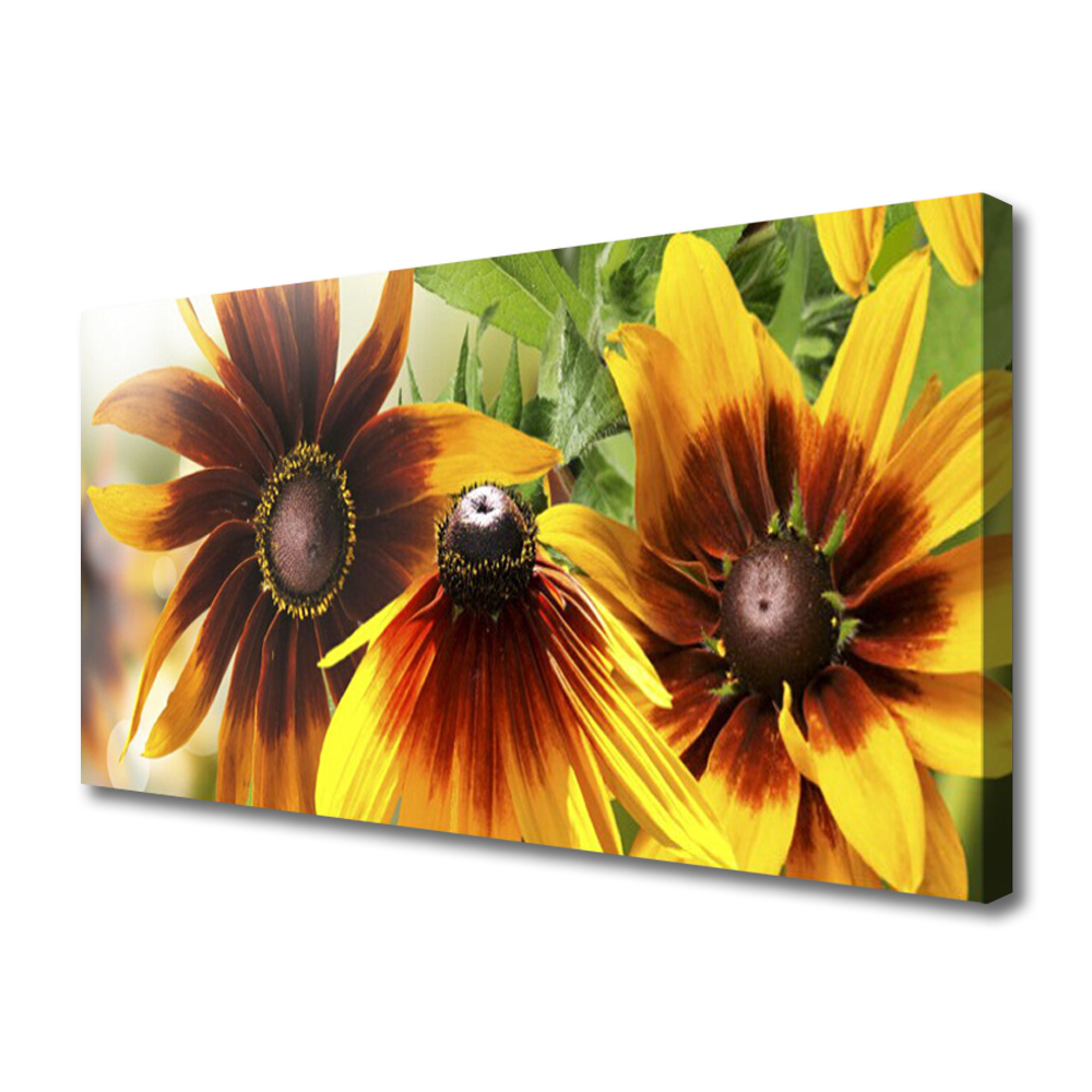obraz na plátně Květiny Rostlina Foto Canvas 120x60